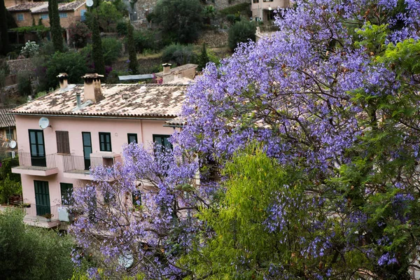 Mayorka Tramuntana dağ Balear İspanya.Beautiful köy Mallorca Deia de Deia de Deia geleneksel taş köy