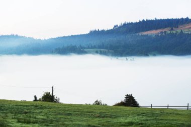 Beyaz sisli dağlarda güzel gün doğumu. Seyahat geçmişi. Güzellik dünyasını keşfetmek. Karpat dağları. Ukrayna. Avrupa. Yaz manzarası