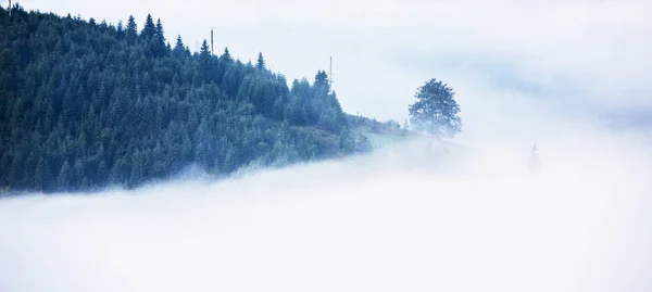 Vacker Soluppgång Fjäll Med Vit Dimma Rese Bakgrund Utforska Skönhetsvärlden — Stockfoto