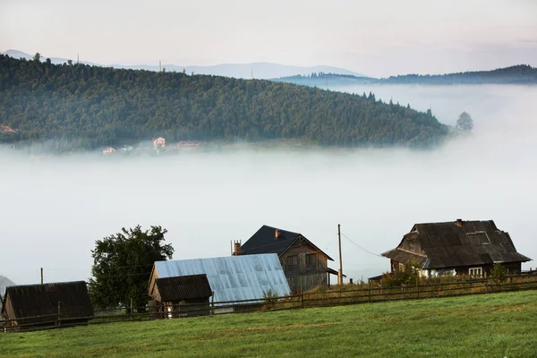 Beyaz sisli dağlarda güzel gün doğumu. Seyahat geçmişi. Güzellik dünyasını keşfetmek. Karpat dağları. Ukrayna. Avrupa. Yaz manzarası