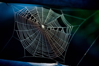 Renkli arkaplanı olan örümcek ağı