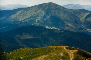 Karpat dağlarında yaz manzarası. Hoverla dağının zirvesinin manzarası. Bautiful Ukrayna dağ Karpat Hoverla.