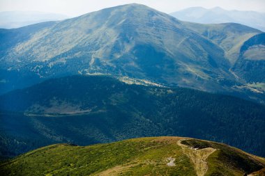 Karpat dağlarında yaz manzarası. Hoverla dağının zirvesinin manzarası. Bautiful Ukrayna dağ Karpat Hoverla.