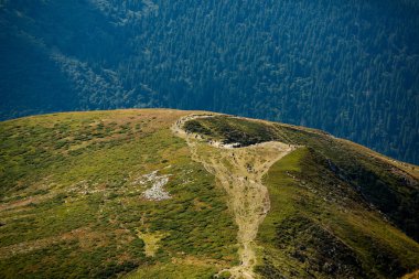 Karpat dağlarında yaz manzarası. Hoverla dağının zirvesinin manzarası. Bautiful Ukrayna dağ Karpat Hoverla.