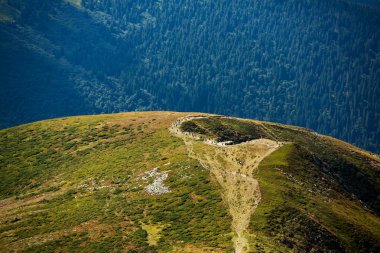 Karpat dağlarında yaz manzarası. Hoverla dağının zirvesinin manzarası. Bautiful Ukrayna dağ Karpat Hoverla.