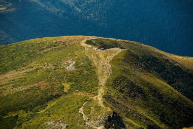 Karpat dağlarında yaz manzarası. Hoverla dağının zirvesinin manzarası. Bautiful Ukrayna dağ Karpat Hoverla.