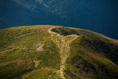 Karpat dağlarında yaz manzarası. Hoverla dağının zirvesinin manzarası. Bautiful Ukrayna dağ Karpat Hoverla.