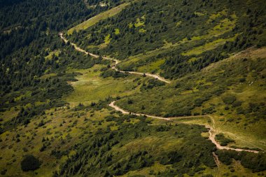 Karpat dağlarında yaz manzarası. Hoverla dağının zirvesinin manzarası. Bautiful Ukrayna dağ Karpat Hoverla.
