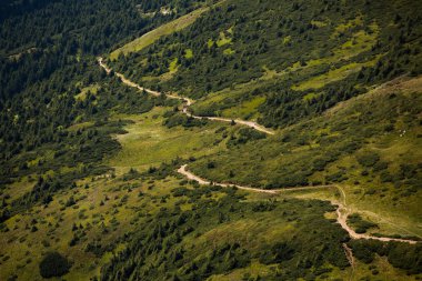 Karpat dağlarında yaz manzarası. Hoverla dağının zirvesinin manzarası. Bautiful Ukrayna dağ Karpat Hoverla.