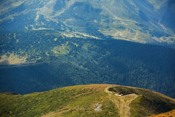 Zomer Landschap Karpaten Uitzicht Bergtop Hoverla Bautiful Oekraïense Berg Karpaten — Stockfoto