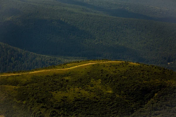 Sommar Landskap Karpaterna Utsikt Över Bergstoppen Hoverla Bautiful Ukrainska Berg — Stockfoto