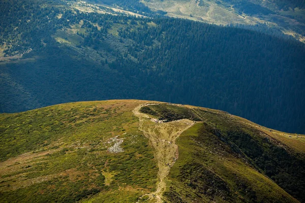カルパチア山脈の夏の風景 山頂ホバーラの眺め バウティフルウクライナ山カルパティアホベラ — ストック写真