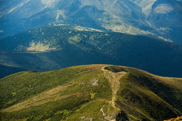 Sommar Landskap Karpaterna Utsikt Över Bergstoppen Hoverla Bautiful Ukrainska Berg — Stockfoto