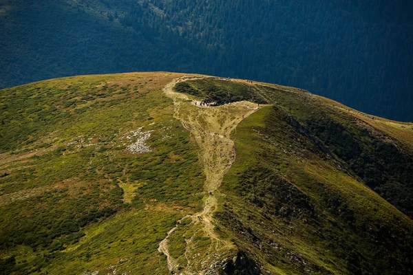 カルパチア山脈の夏の風景 山頂ホバーラの眺め バウティフルウクライナ山カルパティアホベラ — ストック写真