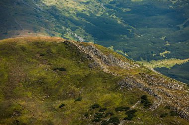 Karpat dağlarında yaz manzarası. Hoverla dağının zirvesinin manzarası. Bautiful Ukrayna dağ Karpat Hoverla.