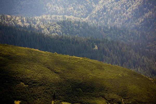 喀尔巴鄂山脉的夏季景观 山顶霍韦拉的景色 包杜乌克兰山喀尔巴鄂霍韦拉 — 图库照片