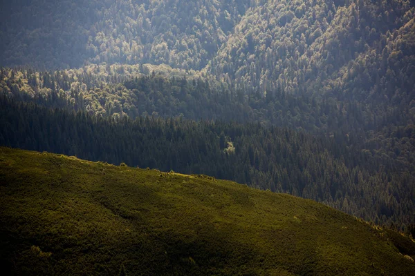 喀尔巴鄂山脉的夏季景观 山顶霍韦拉的景色 包杜乌克兰山喀尔巴鄂霍韦拉 — 图库照片