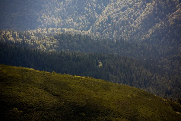 Paesaggio Estivo Nelle Montagne Dei Carpazi Vista Della Vetta Montuosa — Foto Stock