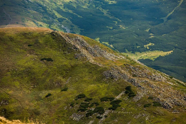 Paisagem Verão Nas Montanhas Dos Cárpatos Vista Cume Montanha Hoverla — Fotografia de Stock