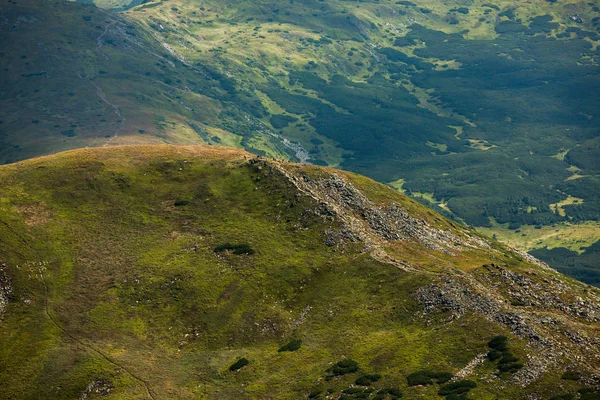 Sommerlandschaft Den Karpaten Blick Auf Den Berggipfel Hoverla Bauschöne Ukrainische — Stockfoto