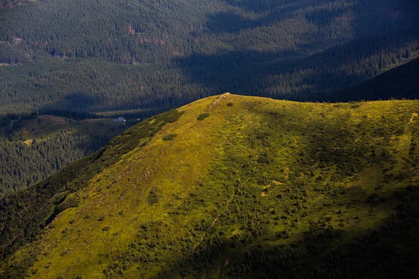 喀尔巴鄂山脉的夏季景观 山顶霍韦拉的景色 包杜乌克兰山喀尔巴鄂霍韦拉 — 图库照片