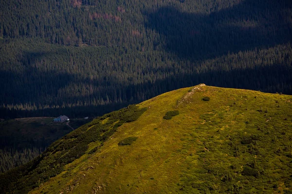 Summer Landscape Carpathian Mountains View Mountain Peak Hoverla Bautiful Ukrainian — Stock Photo, Image