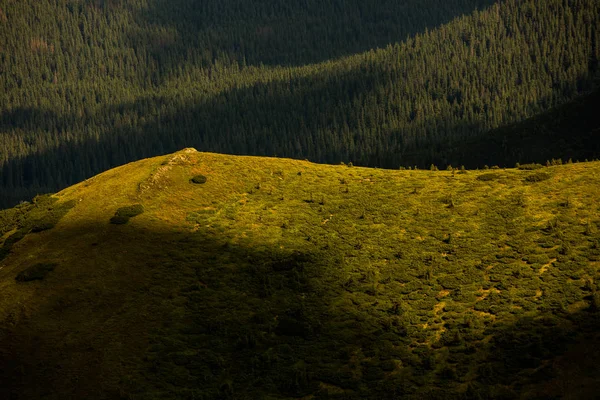 Letni Krajobraz Karpatach Widok Szczyt Góry Hoverla Bautiful Ukraińskie Góry — Zdjęcie stockowe