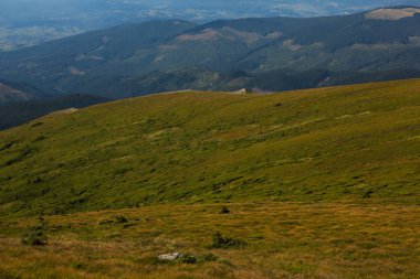 Karpat dağlarında yaz manzarası. Hoverla dağının zirvesinin manzarası. Bautiful Ukrayna dağ Karpat Hoverla.