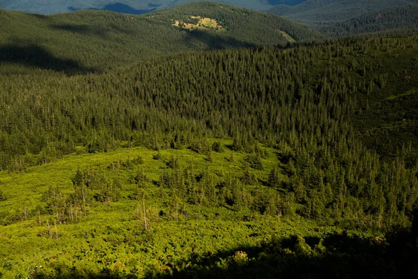 Letni Krajobraz Karpatach Widok Szczyt Góry Hoverla Bautiful Ukraińskie Góry — Zdjęcie stockowe