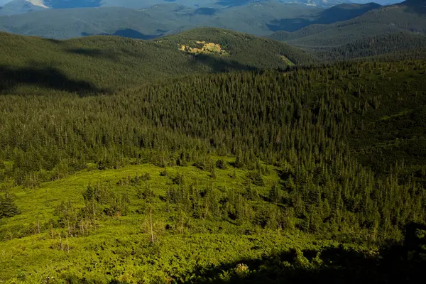 Sommar Landskap Karpaterna Utsikt Över Bergstoppen Hoverla Bautiful Ukrainska Berg — Stockfoto