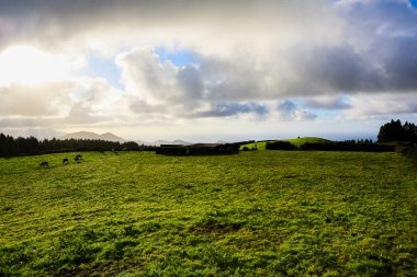 Azores Portekiz 'in güzel manzaraları. Sao Miguel Adası, Azores 'te tropikal doğa. 