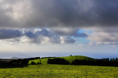 Azores Portekiz 'in güzel manzaraları. Sao Miguel Adası, Azores 'te tropikal doğa. 