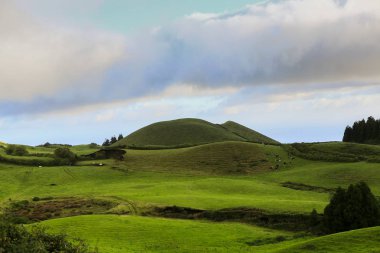 Azores Portekiz 'in güzel manzaraları. Sao Miguel Adası, Azores 'te tropikal doğa. 