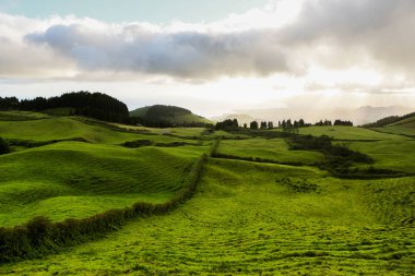 Azores Portekiz 'in güzel manzaraları. Sao Miguel Adası, Azores 'te tropikal doğa. 