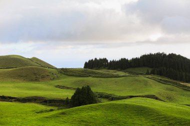 Azores Portekiz 'in güzel manzaraları. Sao Miguel Adası, Azores 'te tropikal doğa. 