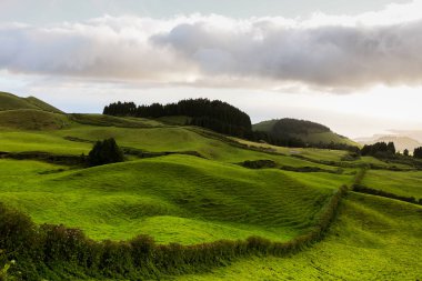 Azores Portekiz 'in güzel manzaraları. Sao Miguel Adası, Azores 'te tropikal doğa. 