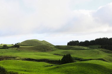 Azores Portekiz 'in güzel manzaraları. Sao Miguel Adası, Azores 'te tropikal doğa. 