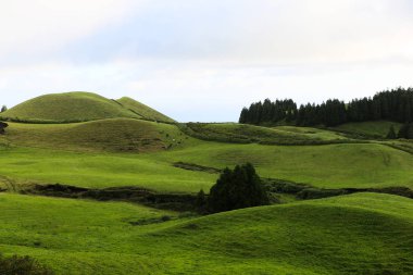 Azores Portekiz 'in güzel manzaraları. Sao Miguel Adası, Azores 'te tropikal doğa. 