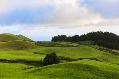 Azores Portekiz 'in güzel manzaraları. Sao Miguel Adası, Azores 'te tropikal doğa. 