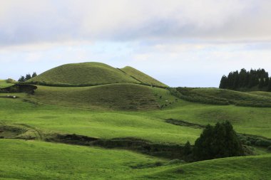 Azores Portekiz 'in güzel manzaraları. Sao Miguel Adası, Azores 'te tropikal doğa. 