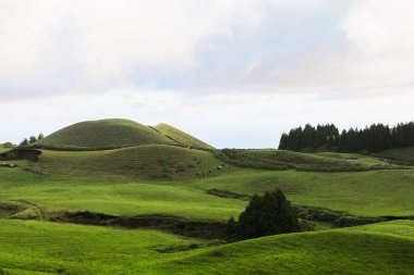 Azores Portekiz 'in güzel manzaraları. Sao Miguel Adası, Azores 'te tropikal doğa. 