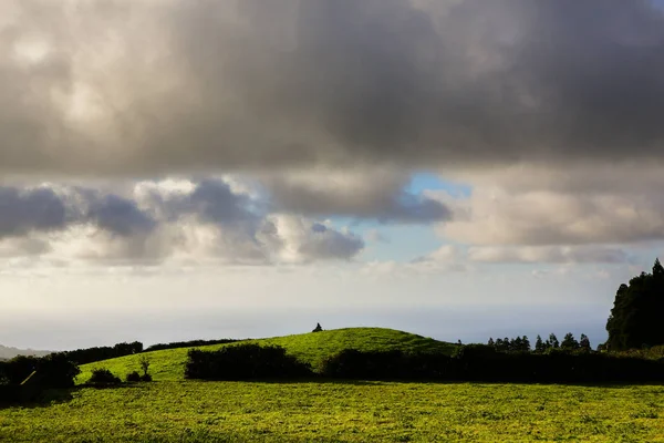 Azores Portekiz 'in güzel manzaraları. Sao Miguel Adası, Azores 'te tropikal doğa. 
