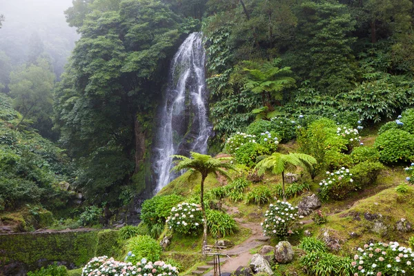 Piękne Krajobrazy Azorach Portugalia Tropikalna Przyroda Wyspie Sao Miguel Azory — Zdjęcie stockowe