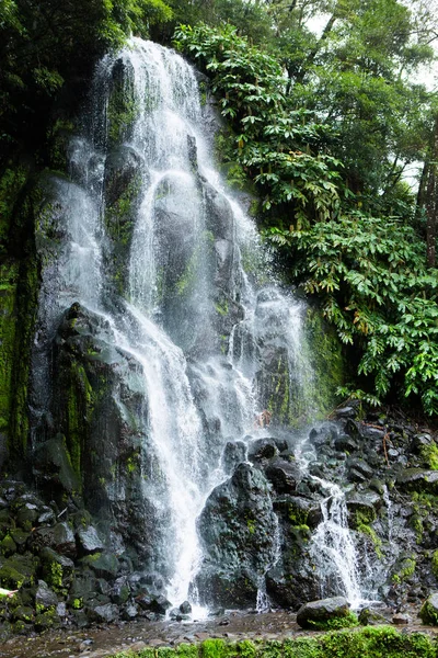 Hermosos Paisajes Azores Portugal Naturaleza Tropical Isla Sao Miguel Azores — Foto de Stock