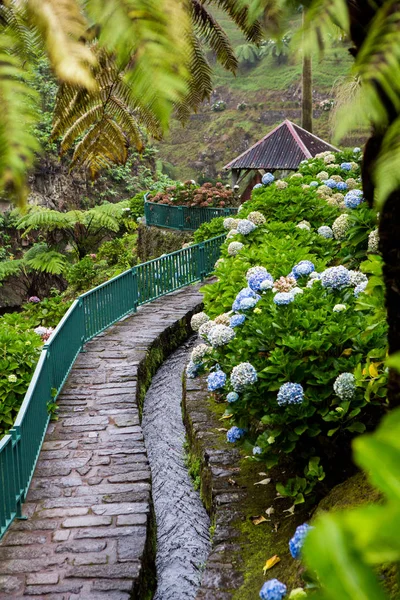 Beaux Paysages Aux Açores Portugal Nature Tropicale Dans Île Sao — Photo