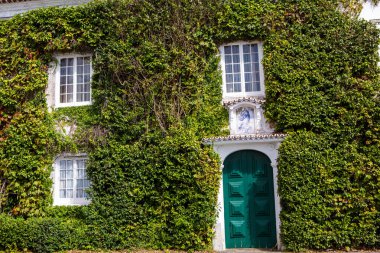 Önünde dikey bahçe olan sürdürülebilir bir binada yeşil bir duvar. Ekolojik binaların cephelerinde planlar ve çiçekler var.