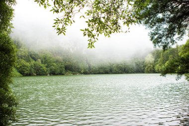 Azores Portekiz 'in güzel manzaraları. Sao Miguel Adası, Azores 'te tropikal doğa