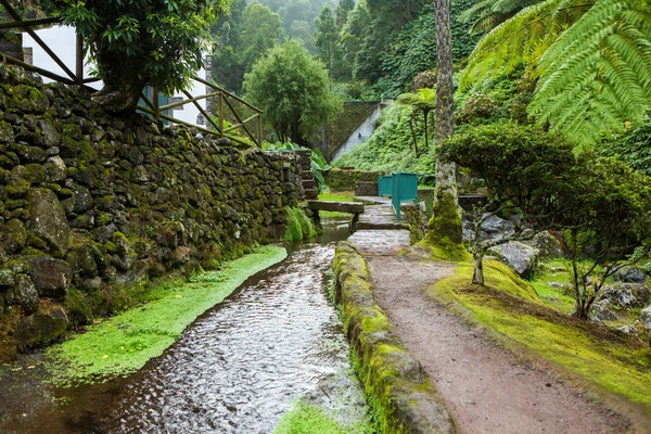 Hermosos Paisajes Azores Portugal Naturaleza Tropical Isla Sao Miguel Azores — Foto de Stock