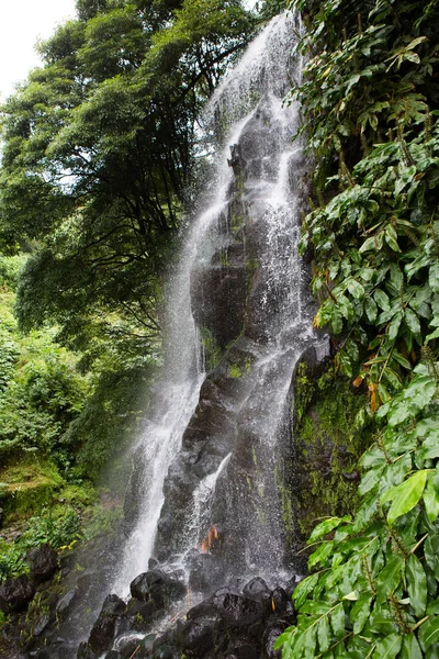 Beaux Paysages Aux Açores Portugal Nature Tropicale Dans Île Sao — Photo