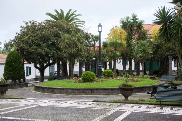 Beaux Paysages Aux Açores Portugal Nature Tropicale Dans Île Sao — Photo